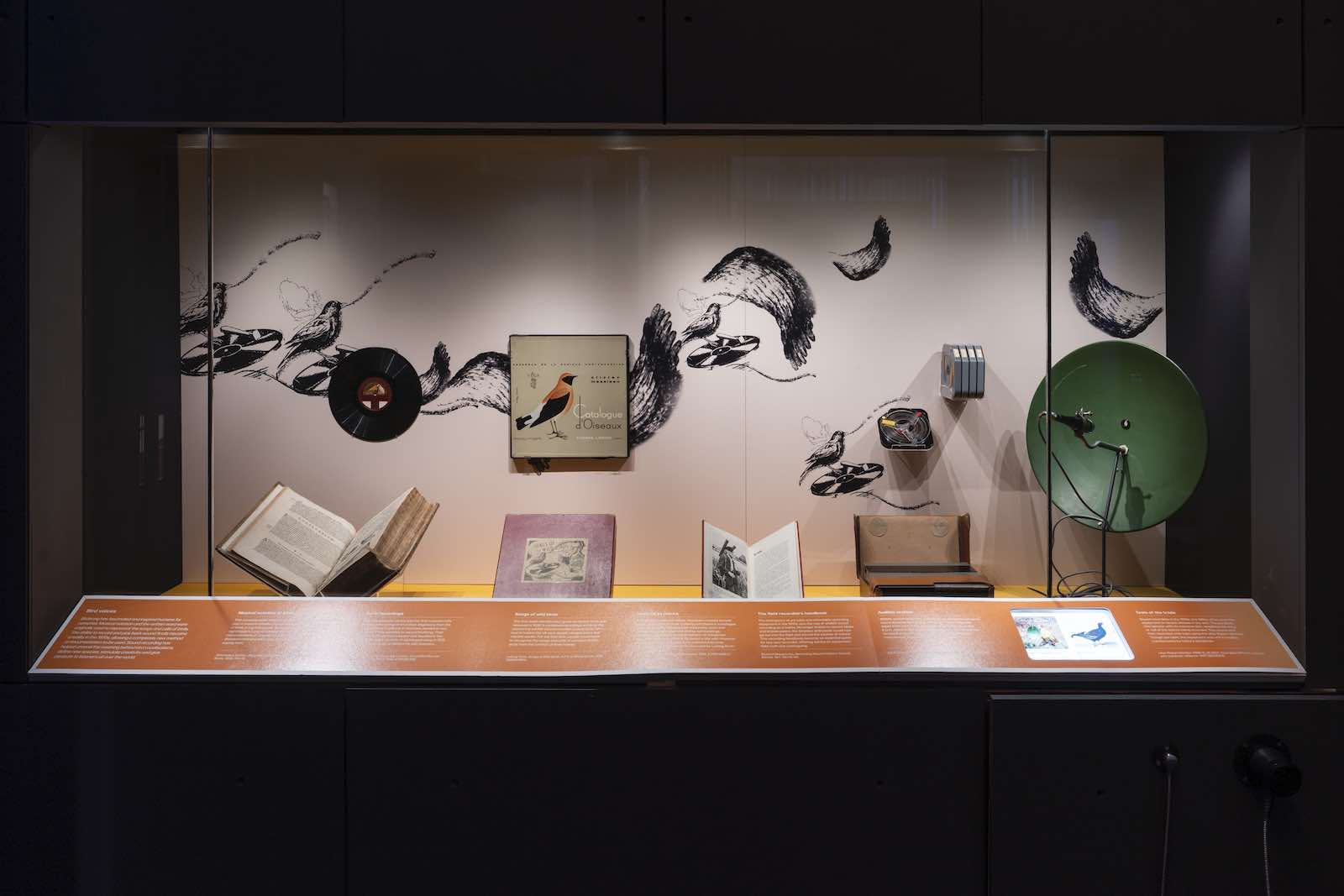 Animals Art Science and Sound at the British Library