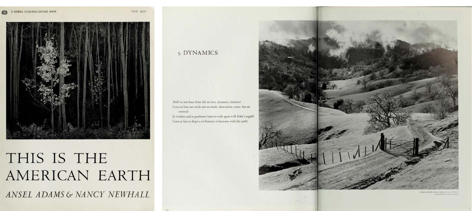 This Is the American Earth