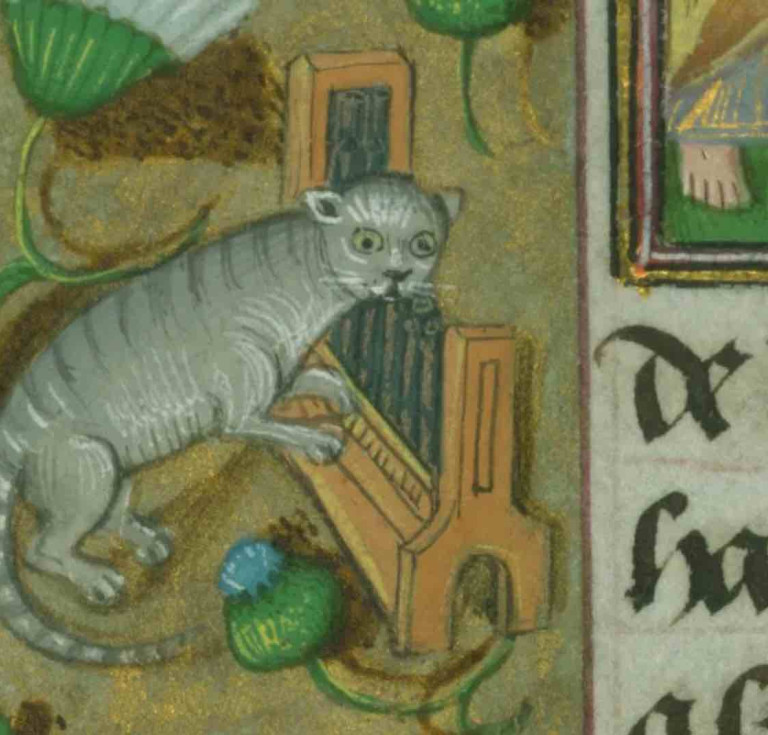 Cat playing the organ, detail from late 15th-century prayer book, illuminated by followers of Willem Vrelant of Bruges
